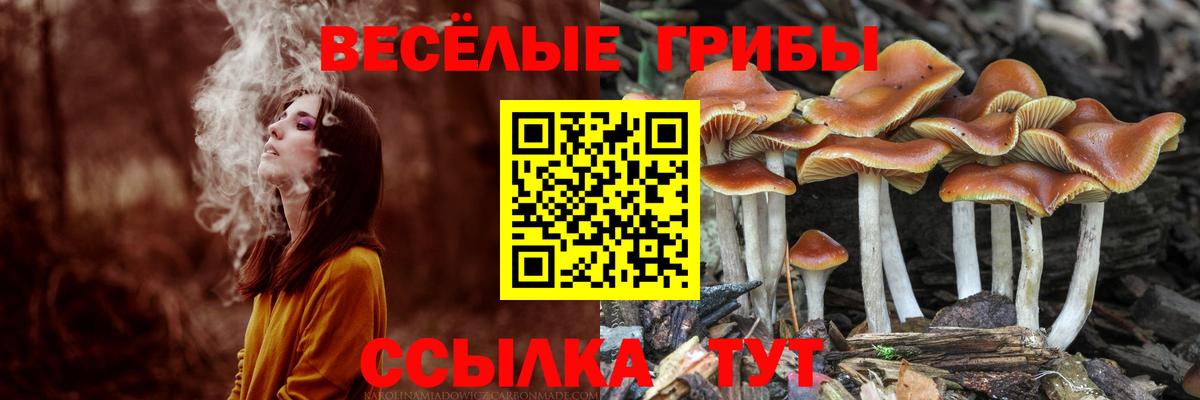 Псилоцибиновые грибы Psilocybine cubensis  Вход с VPN  Ульяновск  даркнет сайт  Галлюциногенные грибы Magic Shrooms 